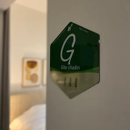 Vue Meuse, En Face De La Citadelle ディナン