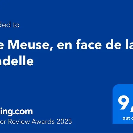 Vue Meuse, En Face De La Citadelle アパート ディナン